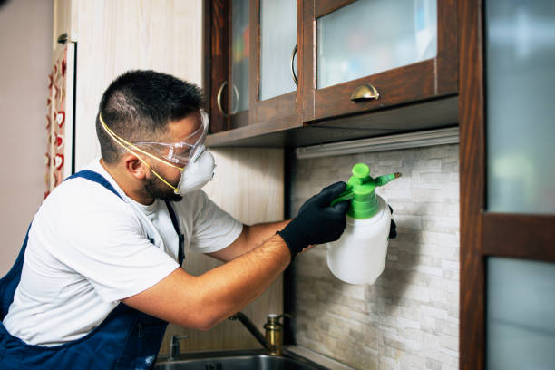 Best Wasp Removal Services  in Cambria, IL