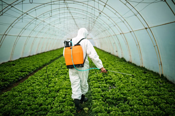 Best Pest Control for Businesses  in Cambria, IL