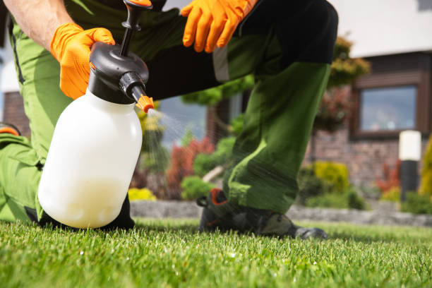 Best Bed Bug Extermination  in Cambria, IL