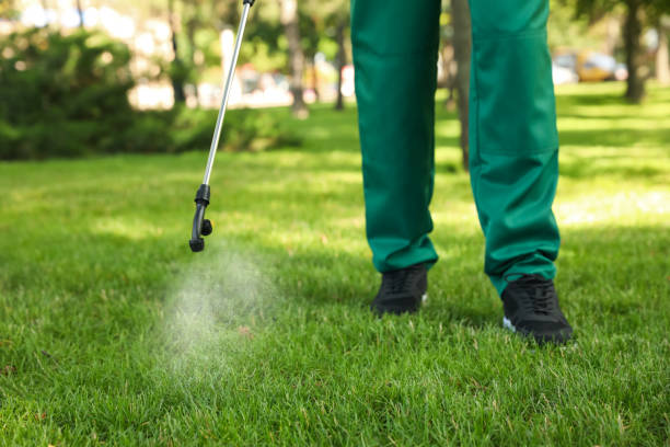 Best Emergency Pest Control  in Cambria, IL