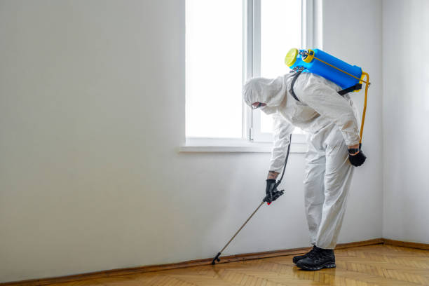 Best Exterminator Services  in Cambria, IL