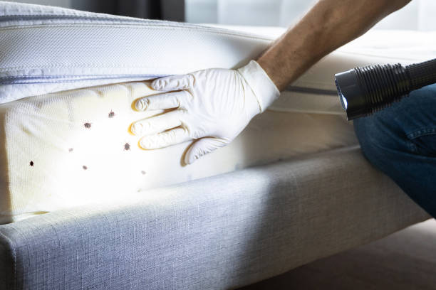 Best Pest Inspection Near Me  in Cambria, IL