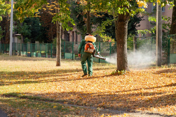Best Rodent Control Near Me  in Cambria, IL