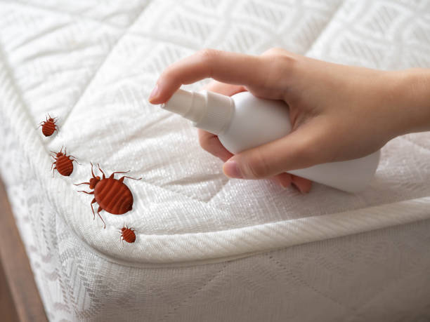 Best Commercial Pest Control Services  in Cambria, IL
