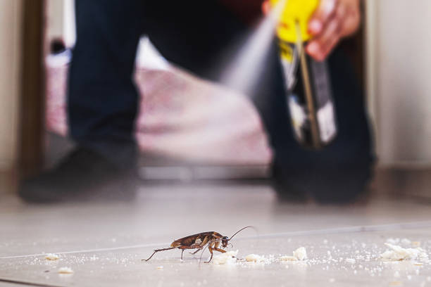 Best Residential Pest Control  in Cambria, IL